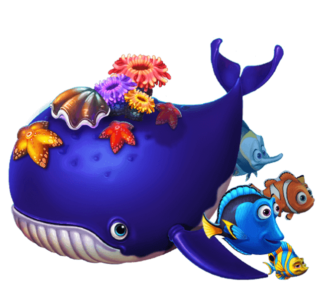 im电竞官网app下载V1.9.13安卓版 1